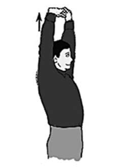 Latihan kelenturan dinamis jari tangan dan lengan