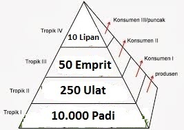 piramida biomassa