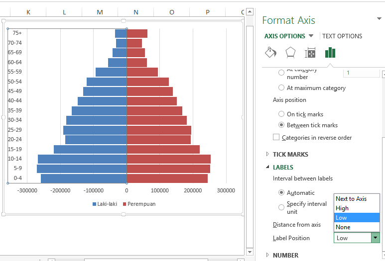 piramida-penduduk-excel-7