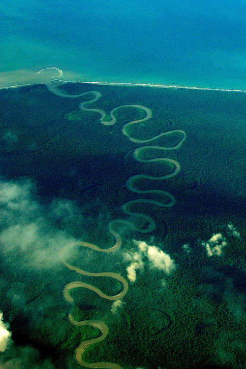 7 Sungai Terpanjang di Indonesia Beserta Letaknya - HaloEdukasi.com