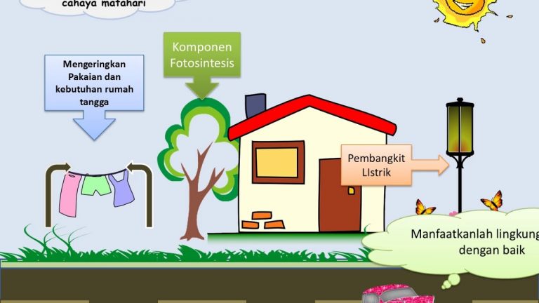 7 Manfaat Energi Matahari bagi Makhluk Hidup yang Perlu diketahui