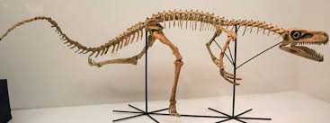Staurikosaurus, karnivora kecil yang berburu makhluk lainnya