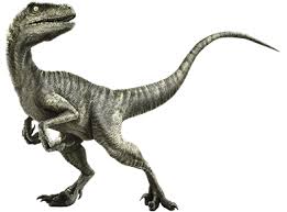 Velociraptor, dinosaurus berukuran 2 meter yang juga predator.