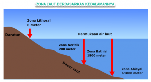 Klasifikasi Zona Laut Indonesia - HaloEdukasi.com