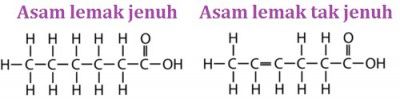 Lemak Jenuh Dan Tak Jenuh – newstempo
