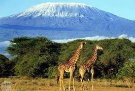 Gunung Kilimanjaro
