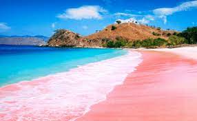 Pink Beach-Lombok