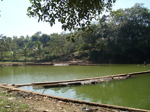 Air tanah mengalami proses perembesan ke danau atau sungai proses ini dinamakan dengan