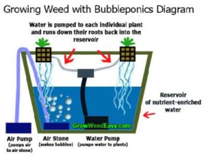 Sistem hidroponik Bubbleponics