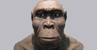 Spesies Manusia Purba dari Genus Homo