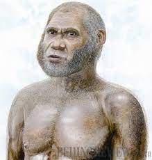 Spesies Manusia Purba dari Genus Homo