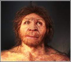 Apa itu Homo antecessor?