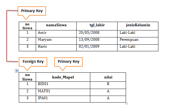 Apa Itu Primary Key - Tips Dan Fakta Unik Menarik