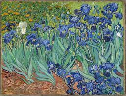 The Story of The Irises