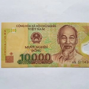 Dong Vietnam (VND)