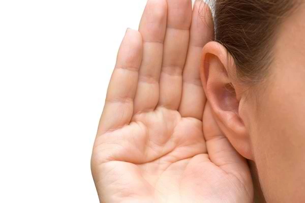 Proses Pendengaran