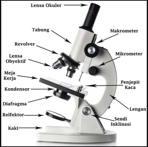 Bagian-Bagian Mikroskop