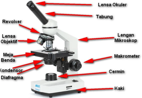 Bagian-bagian Mikroskop Elektron
