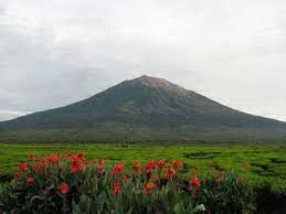 Gunung Kerinci, Gunung di Jambi