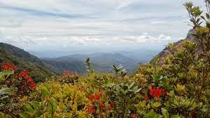 Gunung Kunyit, gunung di Jambi